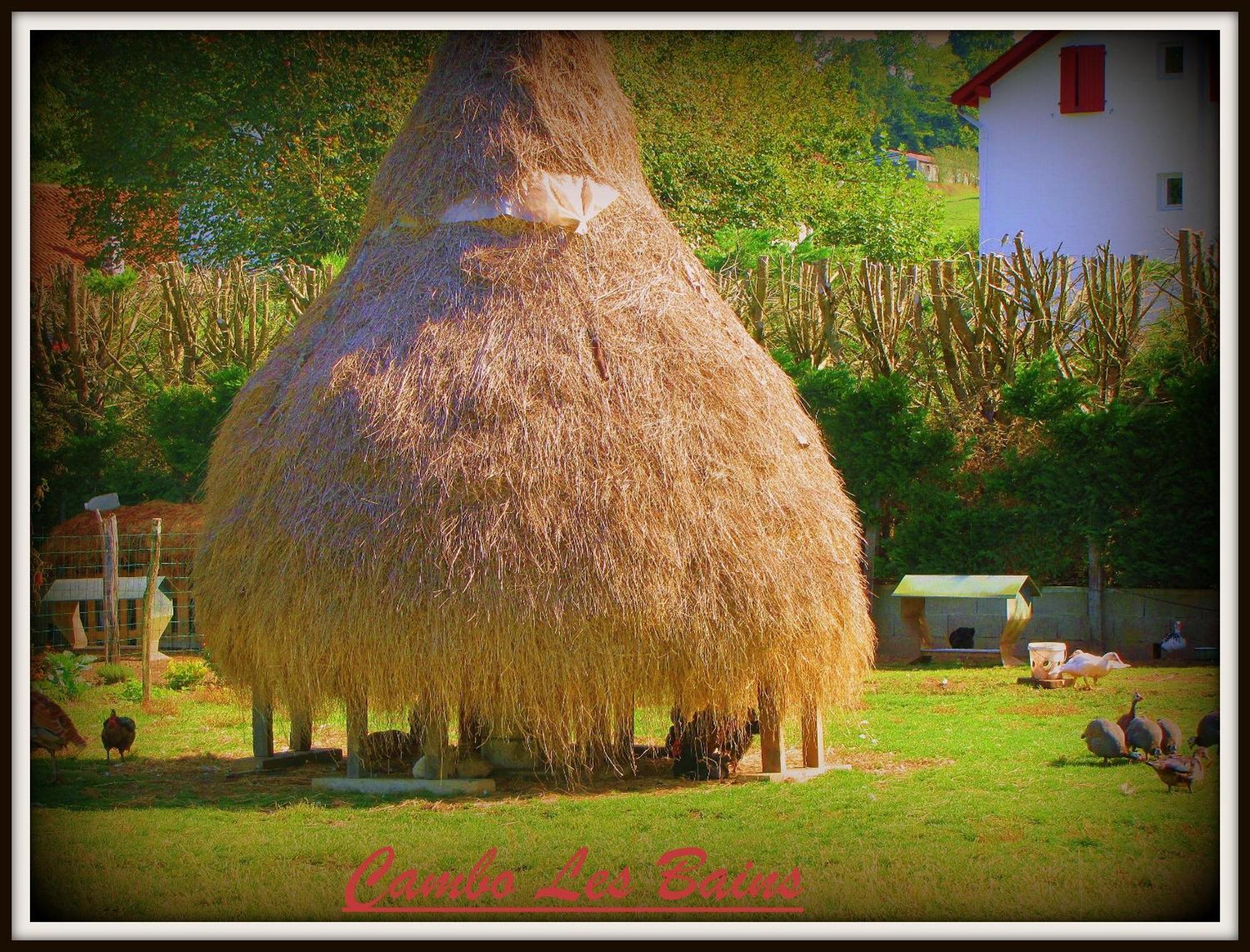 Hotel Ursula Cambo-les-Bains Eksteriør bilde